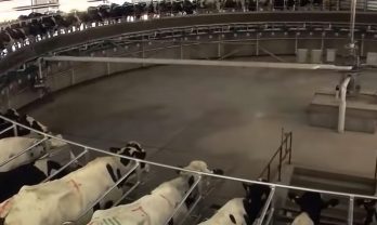 Оборудование для ферм