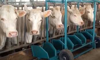 Оборудование для ферм