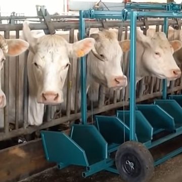 Оборудование для ферм